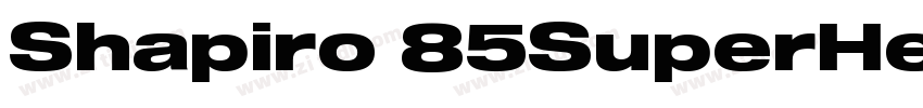 Shapiro 85SuperHeavy字体转换 Shapiro 85SuperHeavy字体转换